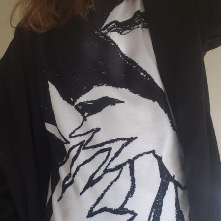 Photo: @poisondamage (twt)